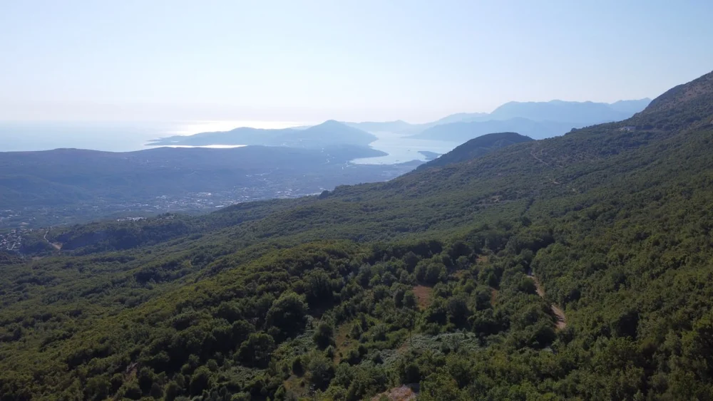 Zu verkaufen — Urbanisiertes Grundstück 26.417 m², Čavori, Kotor